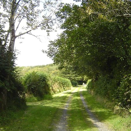 Holdstrong Farmhouse Lydford Экстерьер фото